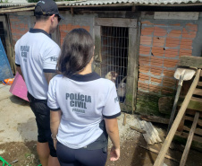 A Polícia Civil do Paraná (PCPR) fez nesta quarta-feira (08), em Guaratuba, uma ação de prevenção a maus-tratos a animais. Policiais civis, médicos veterinários e técnicos da vigilância sanitária fiscalizaram duas residências, no bairro Mirim, para verificar a condição de guarda, saúde e higiene dos animais abrigados nos locais. Foto:SESP