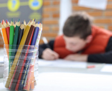 
São atividades para profissionais da educação e para estudantes, pensadas para aprimorar o planejamento de aulas e estratégias de aprendizagem. Ano letivo começa em 5 de fevereiro e termina em 17 de dezembro.
Foto: José Fernando Ogura/AEN