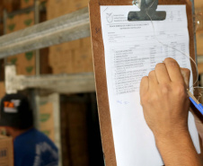 Mais de 1,8 mil toneladas de alimentos não perecíveis começaram a ser distribuídas para as mais de 2,1 mil escolas estaduais em todo o Paraná, nesta quarta-feira (15). Foto: Fundepar