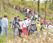 Trajetos em meio à natureza, passando por propriedades rurais e destinos que muitas vezes fogem do radar dos turistas dão o tom das Caminhadas Internacionais na Natureza, que já têm 160 circuitos confirmados neste ano no Paraná.  Foto: Emater/Campo Mourão