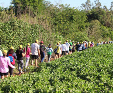 Trajetos em meio à natureza, passando por propriedades rurais e destinos que muitas vezes fogem do radar dos turistas dão o tom das Caminhadas Internacionais na Natureza, que já têm 160 circuitos confirmados neste ano no Paraná.  Foto: Emater/Campo Mourão