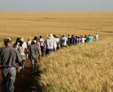 Trajetos em meio à natureza, passando por propriedades rurais e destinos que muitas vezes fogem do radar dos turistas dão o tom das Caminhadas Internacionais na Natureza, que já têm 160 circuitos confirmados neste ano no Paraná.  Foto: Emater/Campo Mourão