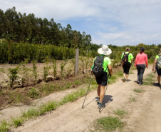 Trajetos em meio à natureza, passando por propriedades rurais e destinos que muitas vezes fogem do radar dos turistas dão o tom das Caminhadas Internacionais na Natureza, que já têm 160 circuitos confirmados neste ano no Paraná.  Foto: Claudemir R José Freire