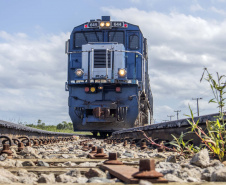 O Porto de Paranaguá recebeu em 2019 mais vagões e menos caminhões na descarga de açúcar, grãos e farelo para exportação. Enquanto o transporte ferroviário aumentou 4,53%, o rodoviário caiu 3,84% no seguimento. Diante dos números, a empresa pública começa o ano com a expectativa de que a utilização dos trilhos cresça ainda mais no transporte da carga do Interior até os terminais portuários do Estado.