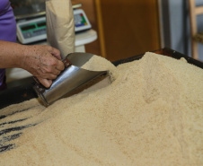 Produção de açucar mascavo e de melado de açúcar mascavo de cana-de-açúcar produzido pelo produtor Rafael Morgenstern em Capanema, no sudoeste do Paraná.  Capanema - 16/01/2020 - Foto: Geraldo Bubniak/AEN