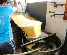 Produção de açucar mascavo e de melado de açúcar mascavo de cana-de-açúcar produzido pela familia do produtor Gilberto Hass  em Capanema, no sudoeste do Paraná.  Capanema - 16/01/2020 - Foto: Geraldo Bubniak/AEN