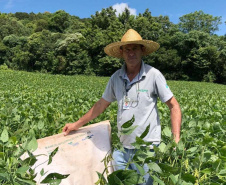 Produtor de Itapejara do Oeste colhe soja sem uso de agrotóxico. Foto:Emater