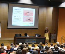 A importância do envolvimento da população na eliminação dos criadouros do mosquito da dengue foi um dos temas da palestra do secretário de Estado da Saúde, Beto Preto, nesta terça-feira (21), na sede do Senac, em Curitiba. Foto: Américo Antonio/SESA