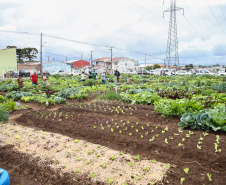 Inauguração da Horta Comunitária Moradias Marumbi do programa da Secretaria de Estado da Agricultura e do Abastecimento,  nesta quinta-feira (16), no bairro Uberaba, em Curitiba