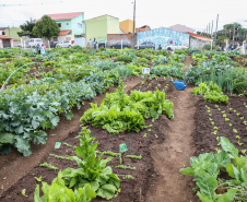 Inauguração da Horta Comunitária Moradias Marumbi do programa da Secretaria de Estado da Agricultura e do Abastecimento,  nesta quinta-feira (16), no bairro Uberaba, em Curitiba