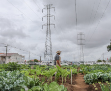 Inauguração da Horta Comunitária Moradias Marumbi do programa da Secretaria de Estado da Agricultura e do Abastecimento,  nesta quinta-feira (16), no bairro Uberaba, em Curitiba