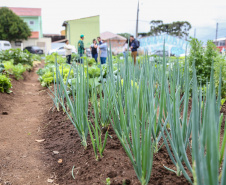 Inauguração da Horta Comunitária Moradias Marumbi do programa da Secretaria de Estado da Agricultura e do Abastecimento,  nesta quinta-feira (16), no bairro Uberaba, em Curitiba