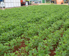 Nesta quarta-feira (22), dois eventos, a Safratec, em Floresta, e o Superagro, em Londrina, foram acompanhados por integrantes do Governo do Estado.
Foto: Emater