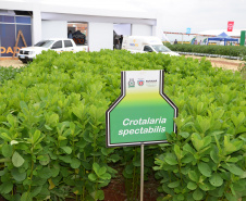 Nesta quarta-feira (22), dois eventos, a Safratec, em Floresta, e o Superagro, em Londrina, foram acompanhados por integrantes do Governo do Estado.
Foto: Emater