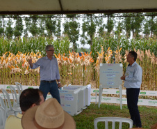 Nesta quarta-feira (22), dois eventos, a Safratec, em Floresta, e o Superagro, em Londrina, foram acompanhados por integrantes do Governo do Estado.
Foto: Emater