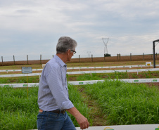 Nesta quarta-feira (22), dois eventos, a Safratec, em Floresta, e o Superagro, em Londrina, foram acompanhados por integrantes do Governo do Estado.
Foto: Emater