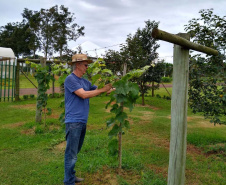Uma das áreas destinadas ao Instituto de Desenvolvimento Rural do Paraná – Iapar-Emater reúne diferentes culturas e práticas agropecuárias. O evento, um dos principais do setor no País, deve receber cerca de 100 mil pessoas durante os cinco dias. Foto: Emater