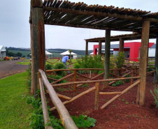 Uma das áreas destinadas ao Instituto de Desenvolvimento Rural do Paraná – Iapar-Emater reúne diferentes culturas e práticas agropecuárias. O evento, um dos principais do setor no País, deve receber cerca de 100 mil pessoas durante os cinco dias. Foto: Emater
