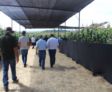 O secretário estadual da Agricultura e do Abastecimento, Norberto Ortigara, participou nesta quarta-feira (29), em Cambé, do 19º BelaSafra 2020, evento da Belagrícola que está apresentando as últimas tecnologias para maximizar a produtividade no campo. O diretor-presidente da Agência de Defesa Agropecuária do Paraná (Adapar), Otamir Cesar Martins, e o deputado estadual Tiago Amaral, também estiveram no evento. Foto: SEAB
