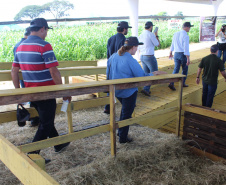 O secretário estadual da Agricultura e do Abastecimento, Norberto Ortigara, participou nesta quarta-feira (29), em Cambé, do 19º BelaSafra 2020, evento da Belagrícola que está apresentando as últimas tecnologias para maximizar a produtividade no campo. O diretor-presidente da Agência de Defesa Agropecuária do Paraná (Adapar), Otamir Cesar Martins, e o deputado estadual Tiago Amaral, também estiveram no evento. Foto: SEAB