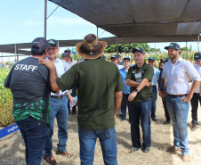 O secretário estadual da Agricultura e do Abastecimento, Norberto Ortigara, participou nesta quarta-feira (29), em Cambé, do 19º BelaSafra 2020, evento da Belagrícola que está apresentando as últimas tecnologias para maximizar a produtividade no campo. O diretor-presidente da Agência de Defesa Agropecuária do Paraná (Adapar), Otamir Cesar Martins, e o deputado estadual Tiago Amaral, também estiveram no evento. Foto: SEAB