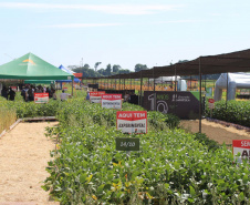 O secretário estadual da Agricultura e do Abastecimento, Norberto Ortigara, participou nesta quarta-feira (29), em Cambé, do 19º BelaSafra 2020, evento da Belagrícola que está apresentando as últimas tecnologias para maximizar a produtividade no campo. O diretor-presidente da Agência de Defesa Agropecuária do Paraná (Adapar), Otamir Cesar Martins, e o deputado estadual Tiago Amaral, também estiveram no evento. Foto: SEAB