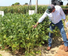 O secretário estadual da Agricultura e do Abastecimento, Norberto Ortigara, participou nesta quarta-feira (29), em Cambé, do 19º BelaSafra 2020, evento da Belagrícola que está apresentando as últimas tecnologias para maximizar a produtividade no campo. O diretor-presidente da Agência de Defesa Agropecuária do Paraná (Adapar), Otamir Cesar Martins, e o deputado estadual Tiago Amaral, também estiveram no evento. Foto: SEAB