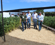 O secretário estadual da Agricultura e do Abastecimento, Norberto Ortigara, participou nesta quarta-feira (29), em Cambé, do 19º BelaSafra 2020, evento da Belagrícola que está apresentando as últimas tecnologias para maximizar a produtividade no campo. O diretor-presidente da Agência de Defesa Agropecuária do Paraná (Adapar), Otamir Cesar Martins, e o deputado estadual Tiago Amaral, também estiveram no evento. Foto: SEAB
