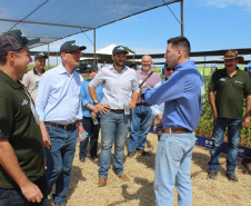 O secretário estadual da Agricultura e do Abastecimento, Norberto Ortigara, participou nesta quarta-feira (29), em Cambé, do 19º BelaSafra 2020, evento da Belagrícola que está apresentando as últimas tecnologias para maximizar a produtividade no campo. O diretor-presidente da Agência de Defesa Agropecuária do Paraná (Adapar), Otamir Cesar Martins, e o deputado estadual Tiago Amaral, também estiveram no evento. Foto: SEAB