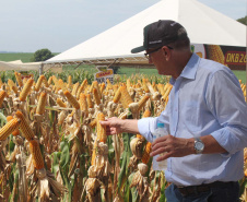 O secretário estadual da Agricultura e do Abastecimento, Norberto Ortigara, participou nesta quarta-feira (29), em Cambé, do 19º BelaSafra 2020, evento da Belagrícola que está apresentando as últimas tecnologias para maximizar a produtividade no campo. O diretor-presidente da Agência de Defesa Agropecuária do Paraná (Adapar), Otamir Cesar Martins, e o deputado estadual Tiago Amaral, também estiveram no evento. Foto: SEAB
