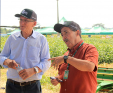 O secretário estadual da Agricultura e do Abastecimento, Norberto Ortigara, participou nesta quarta-feira (29), em Cambé, do 19º BelaSafra 2020, evento da Belagrícola que está apresentando as últimas tecnologias para maximizar a produtividade no campo. O diretor-presidente da Agência de Defesa Agropecuária do Paraná (Adapar), Otamir Cesar Martins, e o deputado estadual Tiago Amaral, também estiveram no evento. Foto: SEAB