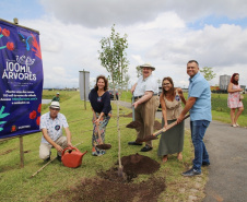 As mudas foram plantadas no Memorial do Rio Iguaçu, espaço mantido pela Sanepar para educação socioambiental
Foto: Sanepar