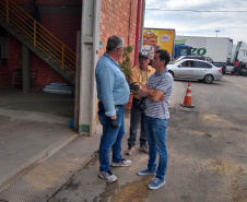 A Ceasa Curitiba realizou nesta semana mais uma etapa da campanha para eliminar criadouros do mosquito da dengue. As medidas preventivas começaram com a limpeza e retirada de entulhos, e de calhas do entorno do Mercado de Flores da unidade. Foto: Ceasa