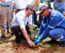 O governador Carlos Massa Ratinho Junior inaugurou nesta sexta-feira (31) a primeira escola técnica de operação florestal do Brasil, em Ortigueira, nos Campos Gerais. O Centro Estadual de Educação Profissional Florestal e Agrícola é fruto de uma parceria entre o Governo do Estado, a Klabin e a prefeitura. O investimento total foi de R$ 35 milhões, sendo R$ 12 milhões repassados pela Secretaria da Educação e do Esporte.