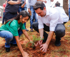 O governador Carlos Massa Ratinho Junior inaugurou nesta sexta-feira (31) a primeira escola técnica de operação florestal do Brasil, em Ortigueira, nos Campos Gerais. O Centro Estadual de Educação Profissional Florestal e Agrícola é fruto de uma parceria entre o Governo do Estado, a Klabin e a prefeitura. O investimento total foi de R$ 35 milhões, sendo R$ 12 milhões repassados pela Secretaria da Educação e do Esporte.