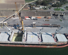 Os gastos com sobre-estadia (demurrage) na importação dos fertilizantes pelos portos do Paraná foram 43% menor em 2019. Os dados foram divulgados nesta quarta-feira (05) pelo Sindicato da Indústria de Adubos e Corretivos Agrícolas no Estado do Paraná (Sindiadubos). No ano, o setor economizou US$ 20,39 milhões.
Curitiba, 06/02/2020. Foto; Cláudio Neves/Portos do Paraná