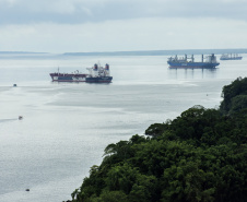 Os gastos com sobre-estadia (demurrage) na importação dos fertilizantes pelos portos do Paraná foram 43% menor em 2019. Os dados foram divulgados nesta quarta-feira (05) pelo Sindicato da Indústria de Adubos e Corretivos Agrícolas no Estado do Paraná (Sindiadubos). No ano, o setor economizou US$ 20,39 milhões.
Curitiba, 06/02/2020. Foto; Cláudio Neves/Portos do Paraná