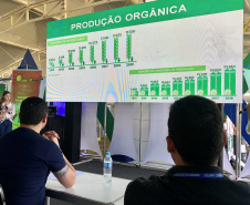 Esse e mais 16 projetos inovadores foram apresentados no Pitch Day Celepar.
Foto: Divulgação/Celepar