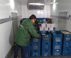 A Campanha Nacional de vacinação contra o sarampo começa nesta segunda-feira (10) e segue até o dia 13 de março. O dia D de mobilização nacional será neste sábado (15), e a vacina já está disponível em todas as Unidades Básicas de Saúde (UBS) do Estado.  -  Curitiba, 10/02/2020  -  Foto: Américo Antonio/SESA