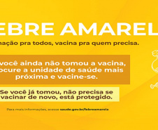 A Ceasa Curitiba vai participar neste sábado (15) da etapa para a ?Campanha Nacional de Vacinação contra o Sarampo e intensificação da Vacina de Febre Amarela?. A ação, que acontecerá das 9 às 12 horas, no Espaço Cidadania e Saúde, próximo ao Mercado de Flores da Ceasa, é destinado a adultos com idade de 18 a 59 anos.  -  Curitiba, 12/02/20120  -  Foto: Divulgação CEASA