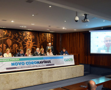Objetivo foi informar sobre as ações que o Brasil e o Paraná estão tomando e alertar como as pessoas podem se proteger da doença. Representante do Ministério da Saúde destacou a organização do Paraná. Foto: SESA