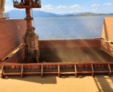 O primeiro embarque do coproduto do processamento do milho para a fabricação de etanol aconteceu em dezembro no porto paranaense de forma inédita no País. Para esta nova operação, ajustes garantiram mais agilidade e produtividade.
Foto: Appa