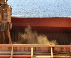 O primeiro embarque do coproduto do processamento do milho para a fabricação de etanol aconteceu em dezembro no porto paranaense de forma inédita no País. Para esta nova operação, ajustes garantiram mais agilidade e produtividade.
Foto: Appa