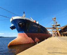 O primeiro embarque do coproduto do processamento do milho para a fabricação de etanol aconteceu em dezembro no porto paranaense de forma inédita no País. Para esta nova operação, ajustes garantiram mais agilidade e produtividade.
Foto: Appa
