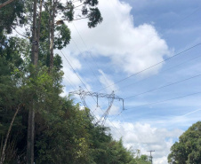 A Copel vai reforçar o sistema de transmissão na Região Metropolitana de Curitiba com a recapacitação de duas importantes linhas que operam em 230 mil volts (kV) e conectam a subestação Pilarzinho às subestações Santa Mônica e Bateias. O investimento previsto é de R$ 32 milhões.   -  Foto: Divulgação Copel
