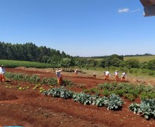 A Penitenciária Estadual de Cascavel (PEC) implementou um novo setor de trabalho para os presos: uma horta orgânica. O objetivo do projeto, denominado ?Volta ao Campo?, é prover uma alimentação com ainda mais qualidade aos detentos e, também, aos servidores do Departamento Penitenciário do Paraná (Depen) lotados na unidade, além da ressocialização, da remição de pena e da profissionalização dos detentos.  -  Cascavel, 28/02/2020  -  Foto: Divulgação Depen PR