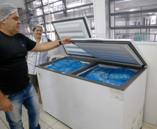 Alimentos da merenda serão distribuídos aos beneficiários do Bolsa Família.Foto Gilson Abreu/AEN