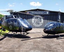 O Governo do Estado publicou diversos decretos nesta semana para evitar aglomerações e conter os avanços do novo coronavírus (Covid-19) no Paraná. Foto: Polícia Civil