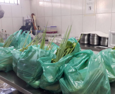 As escolas estaduais do Paraná já estão se organizando para realizar a primeira entrega dos alimentos que compõem a merenda escolar para estudantes inscritos no programa Bolsa Família e/ou em situação de vulnerabilidade, conforme o governador Carlos Massa Ratinho Junior determinou no Decereto 4.316/2020. São cerca de 230 mil alunos inscritos no programa no Paraná. Foto:SEED