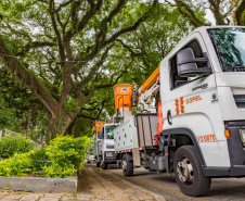 

Curitiba e RMC recebem R$ 250 milhões em obras na rede de energia . Foto: Copel